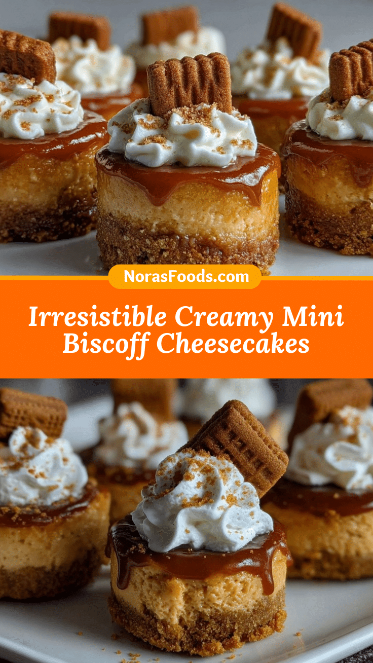 mini Biscoff cheesecakes recipe