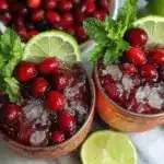 Cranberry Moscow Mule Cocktail - featured image